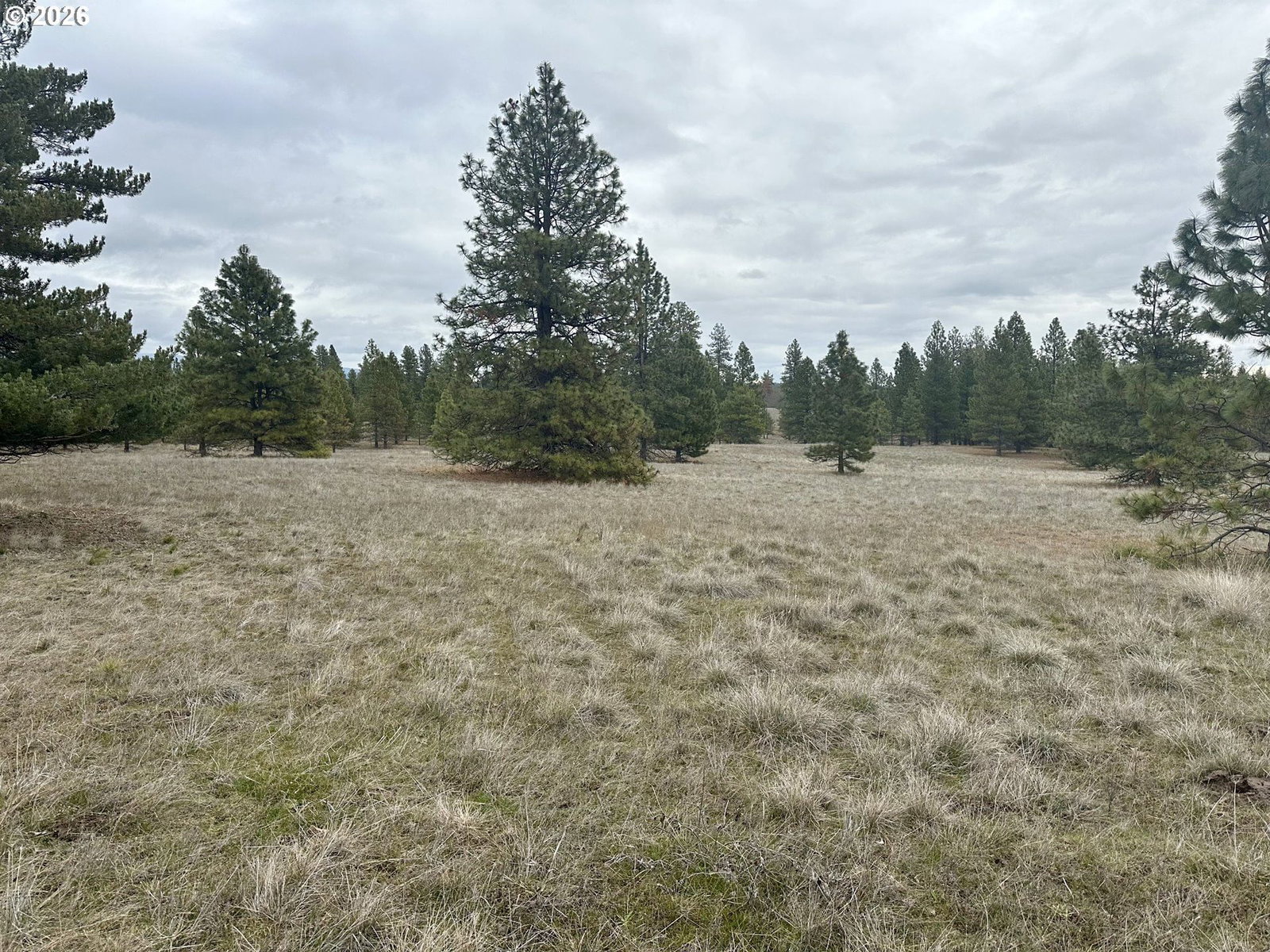 Primary listing photo, 72 WINLOCK RD, Goldendale, WA, 98620