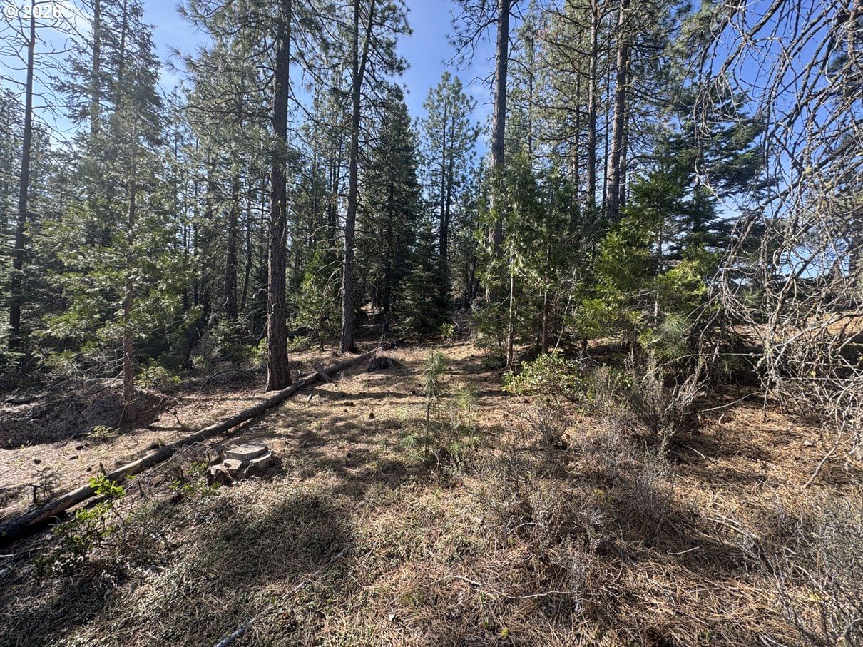 Primary listing photo, Cardinal Drive #4, Bonanza, OR, 97623