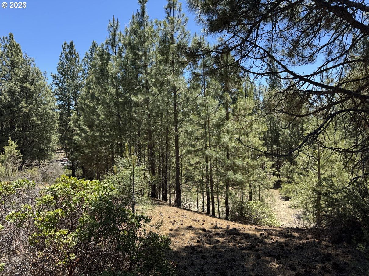 Listing photo 1 of 6