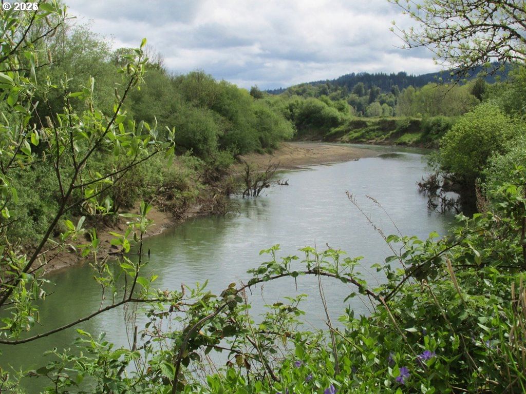 Primary listing photo, 54210 OLD BROADBENT RD, Myrtle Point, OR, 97458