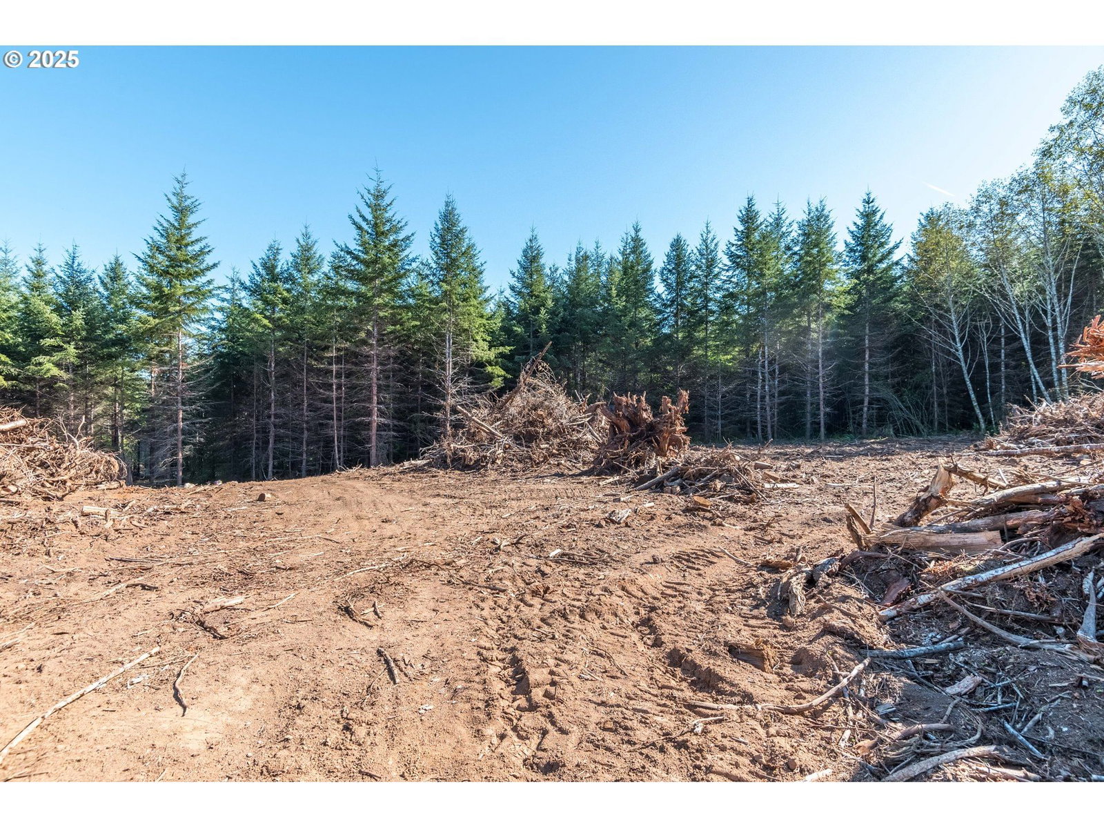 Primary listing photo, Orion, Longview, WA, 98632