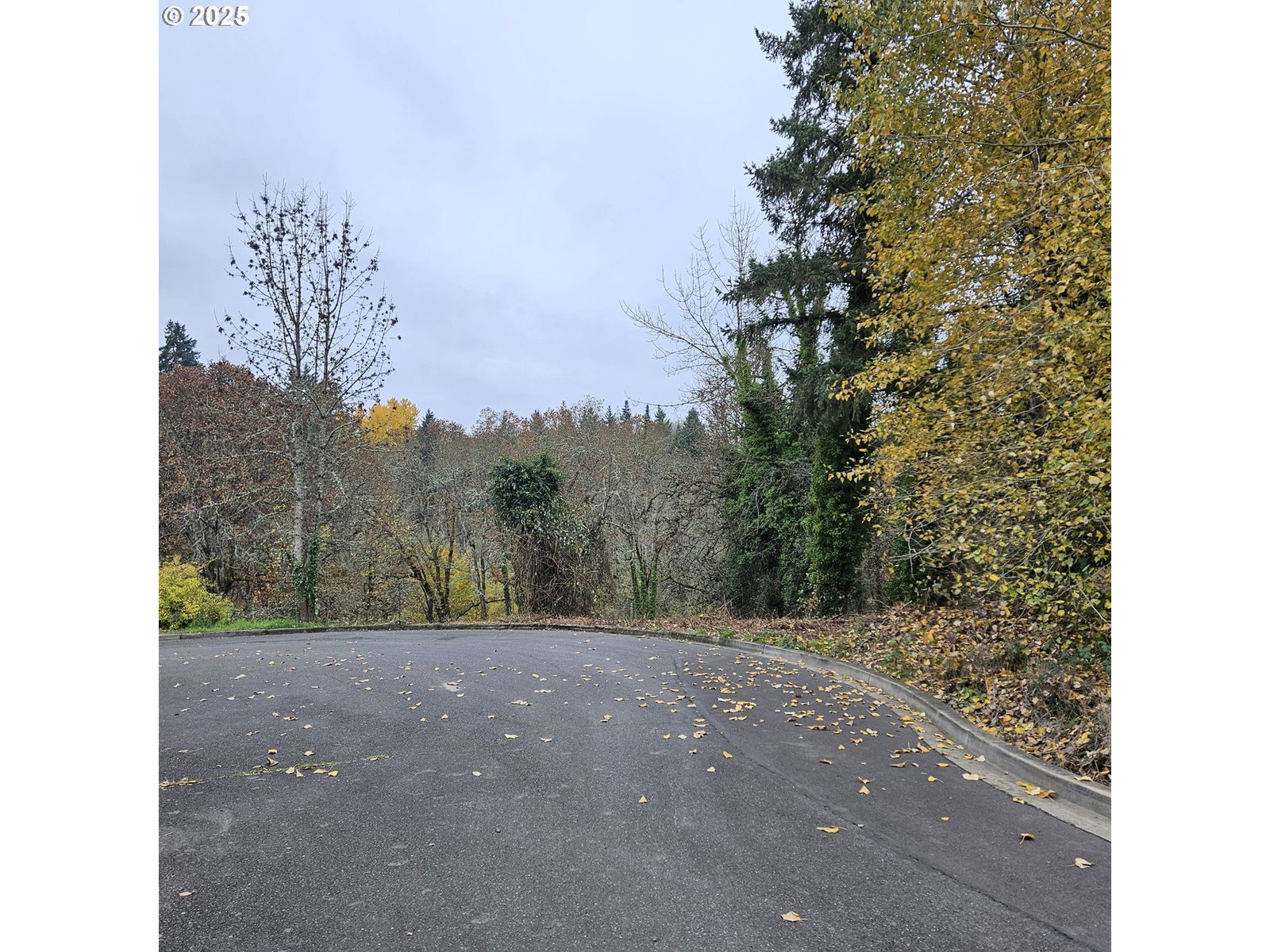 Primary listing photo, 706 Elizabeth CT, Dayton, OR, 97114