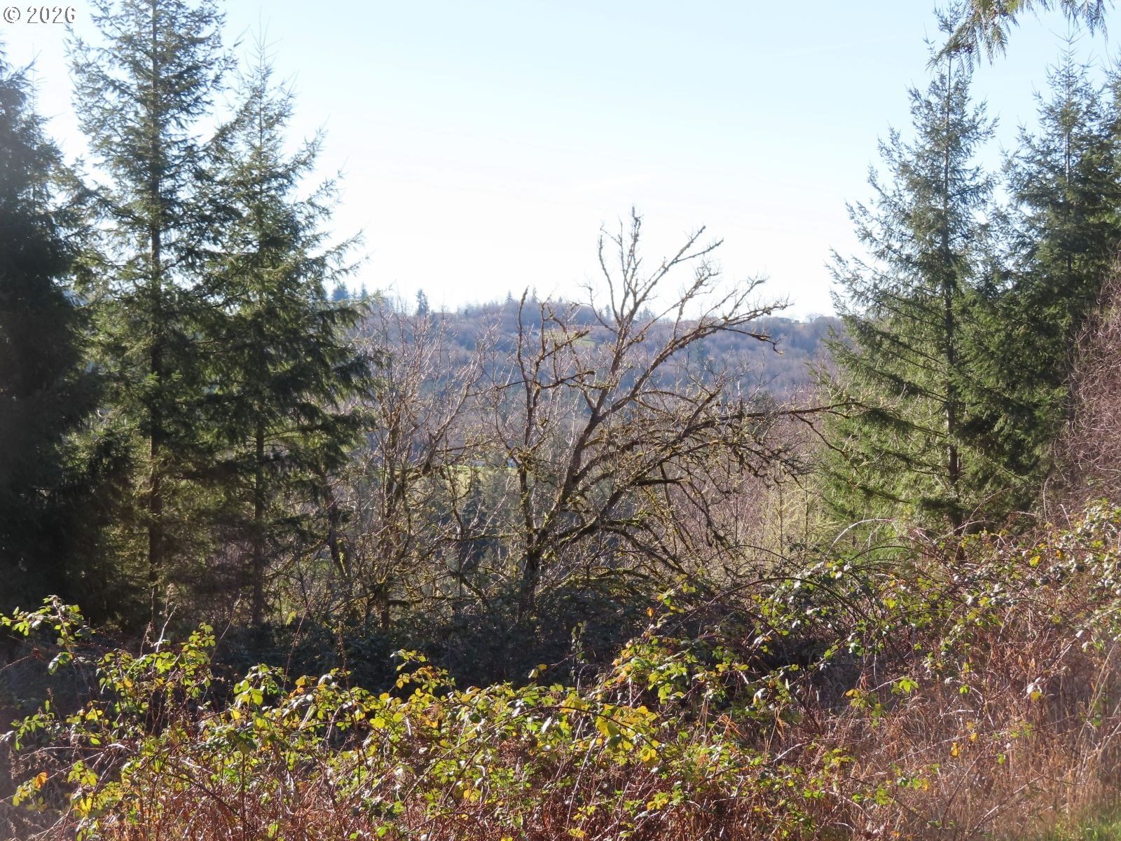Primary listing photo, LARSON RD, Mossyrock, WA, 98564