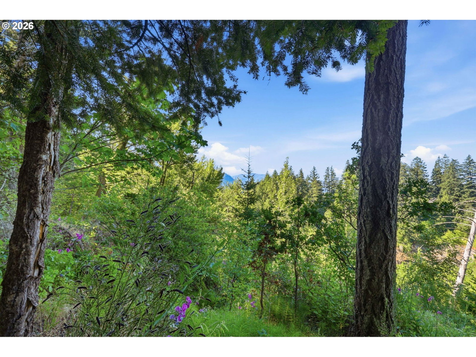 Listing photo 4 of 27, PIPER RD, Stevenson, WA, 98648