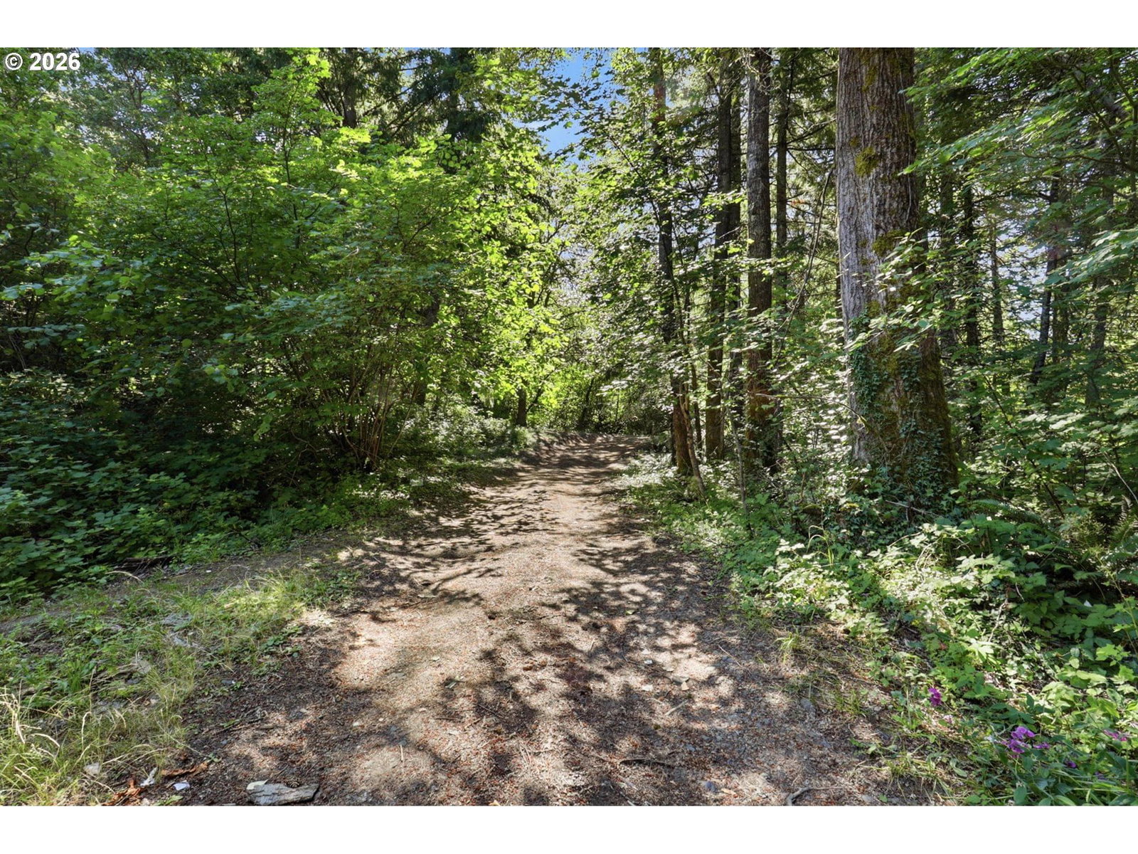 Listing photo 5 of 27, PIPER RD, Stevenson, WA, 98648