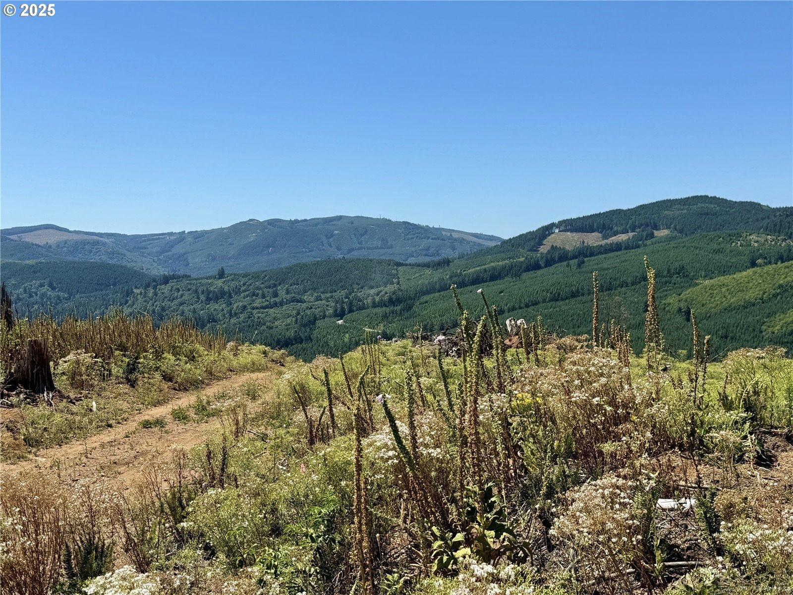 Primary listing photo, 3700 Little Kalama River RD #6, Woodland, WA, 98674