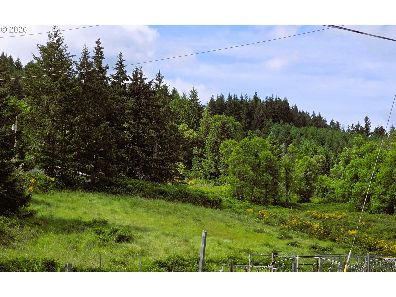 Primary listing photo, 8955 SCOTTS VALLEY RD, Yoncalla, OR, 97499