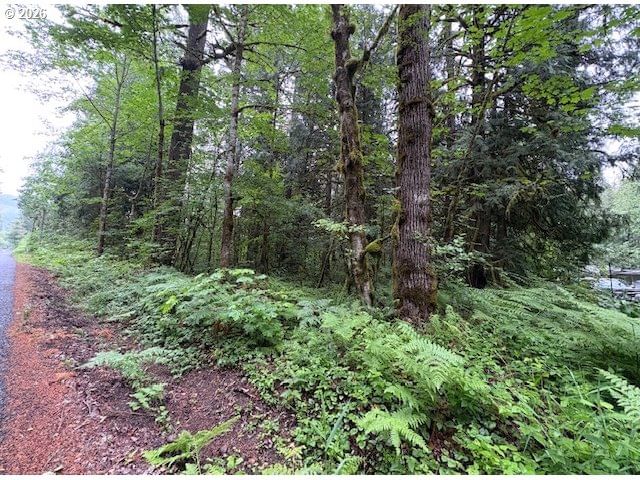 Primary listing photo, E .Arrah Wanna BLVD, Welches, OR, 97067
