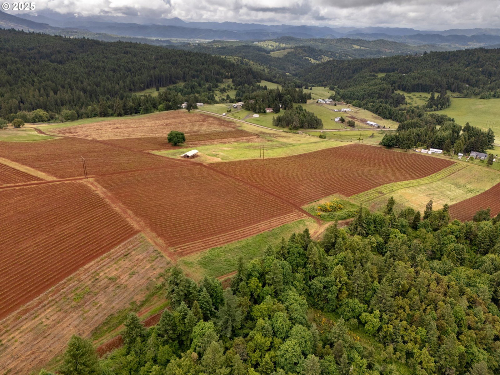 Primary listing photo, 1066 RED HILL RD, Oakland, OR, 97462