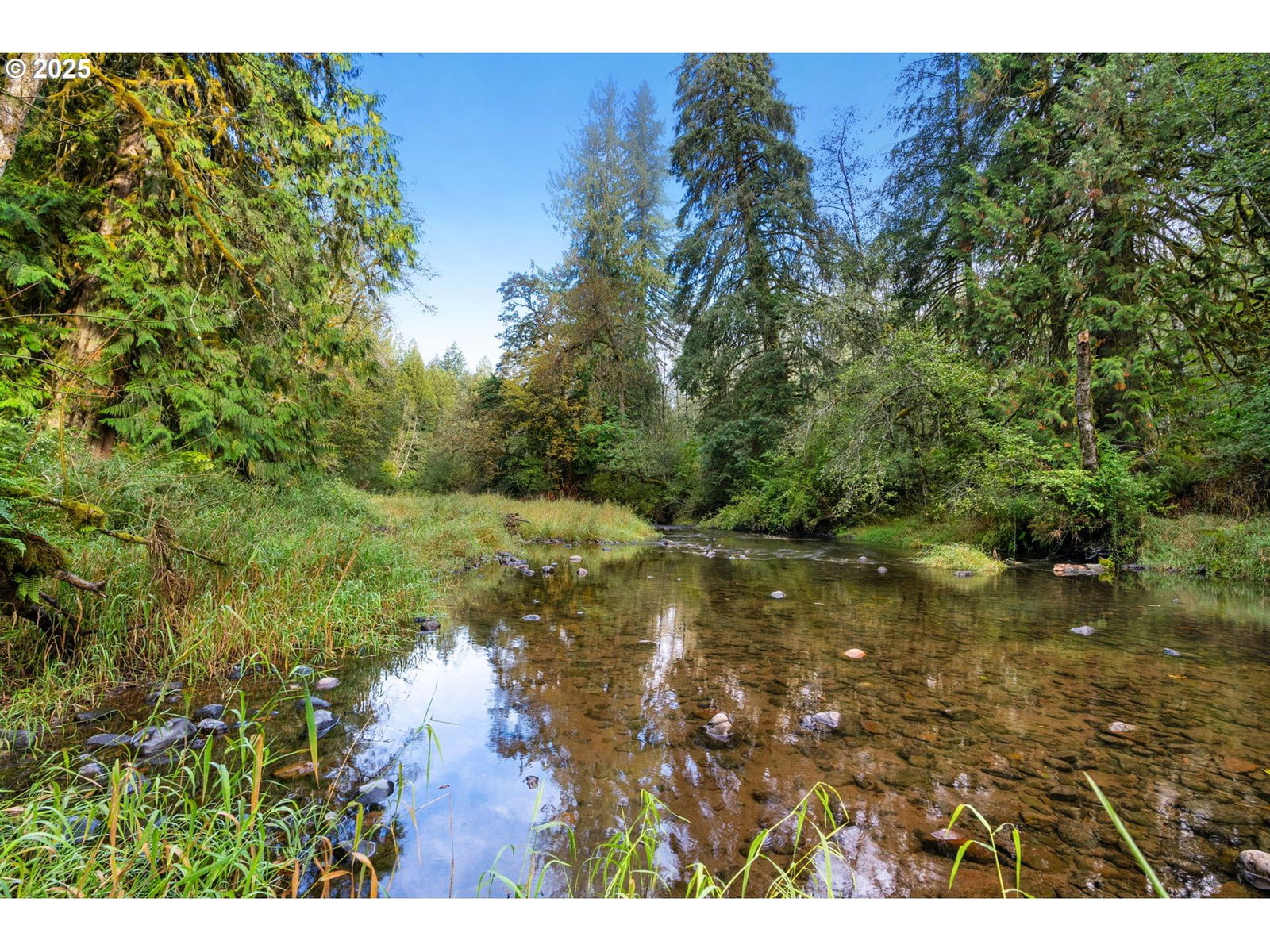 Primary listing photo, 0000 NE Cedar Creek RD, Woodland, WA, 98674