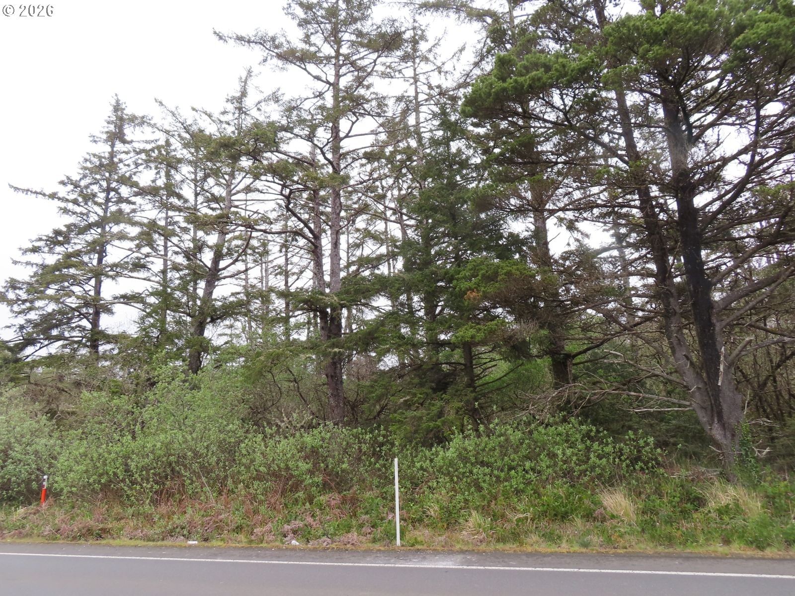 Primary listing photo, State Route 105, Grayland, WA, 98547