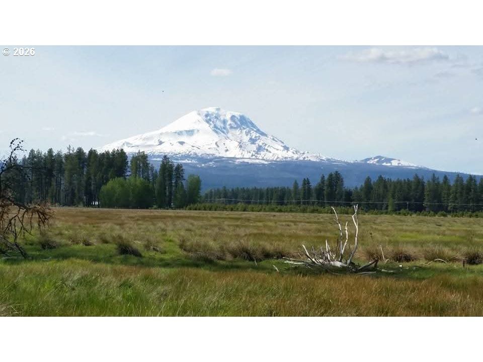 Primary listing photo, 106 LAKESIDE RD, Glenwood, WA, 98619