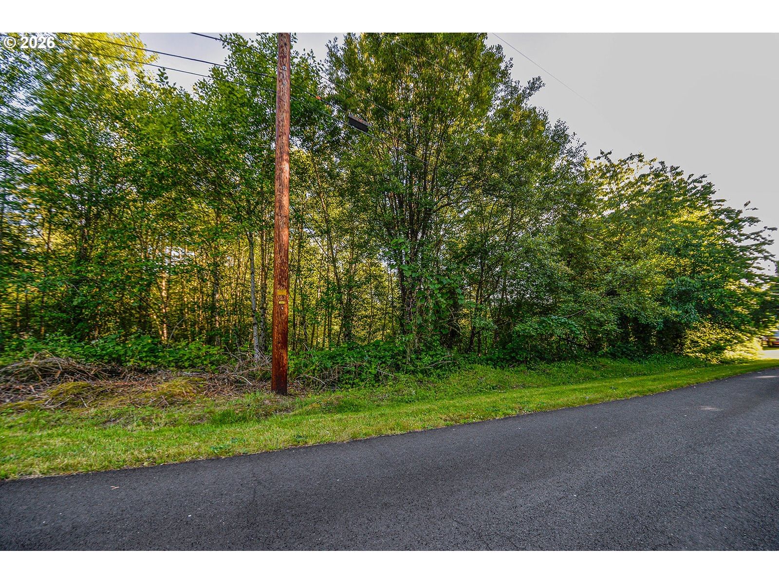 Primary listing photo, 0 Spring ST, Clatskanie, OR, 97016
