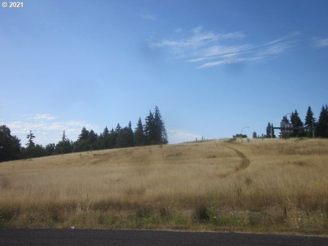 Primary listing photo, 0 NE 209 ST, Ridgefield, WA, 98642