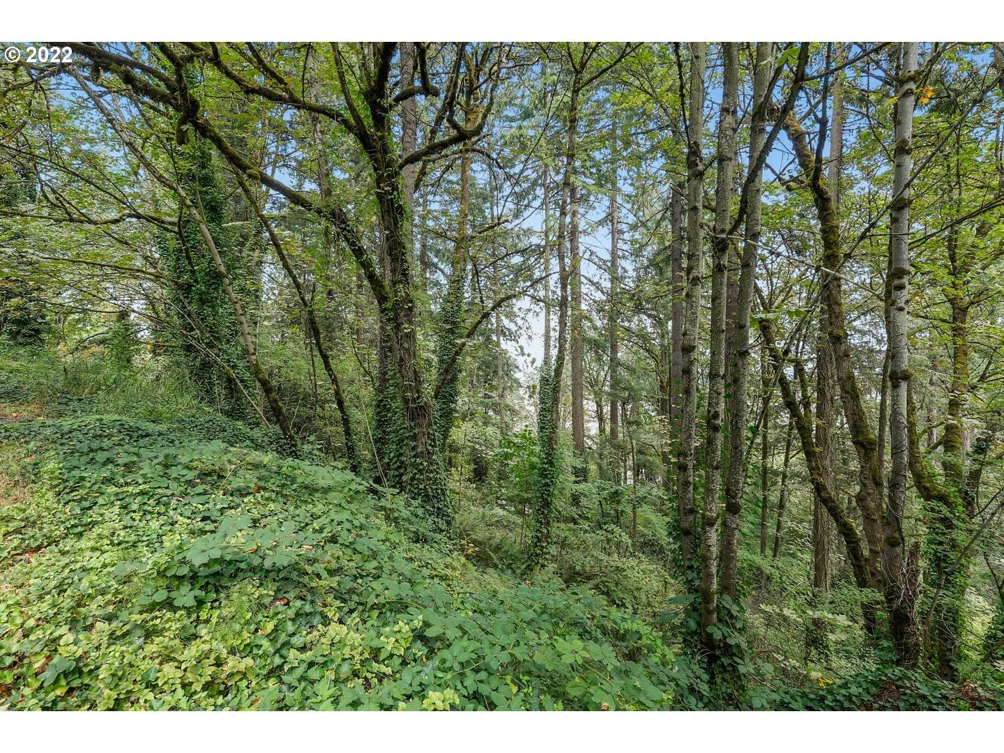 Primary listing photo, E SIDE NW GERMANTOWN RD, Portland, OR, 97231