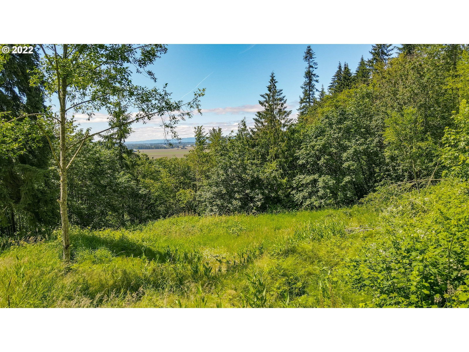 Primary listing photo, 0 Columbia View DR, Woodland, WA, 98674