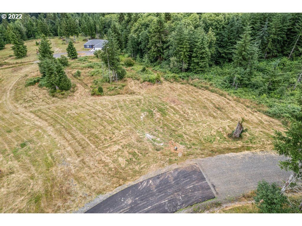 Primary listing photo, 3 Bison Run RUN, Longview, WA, 98632