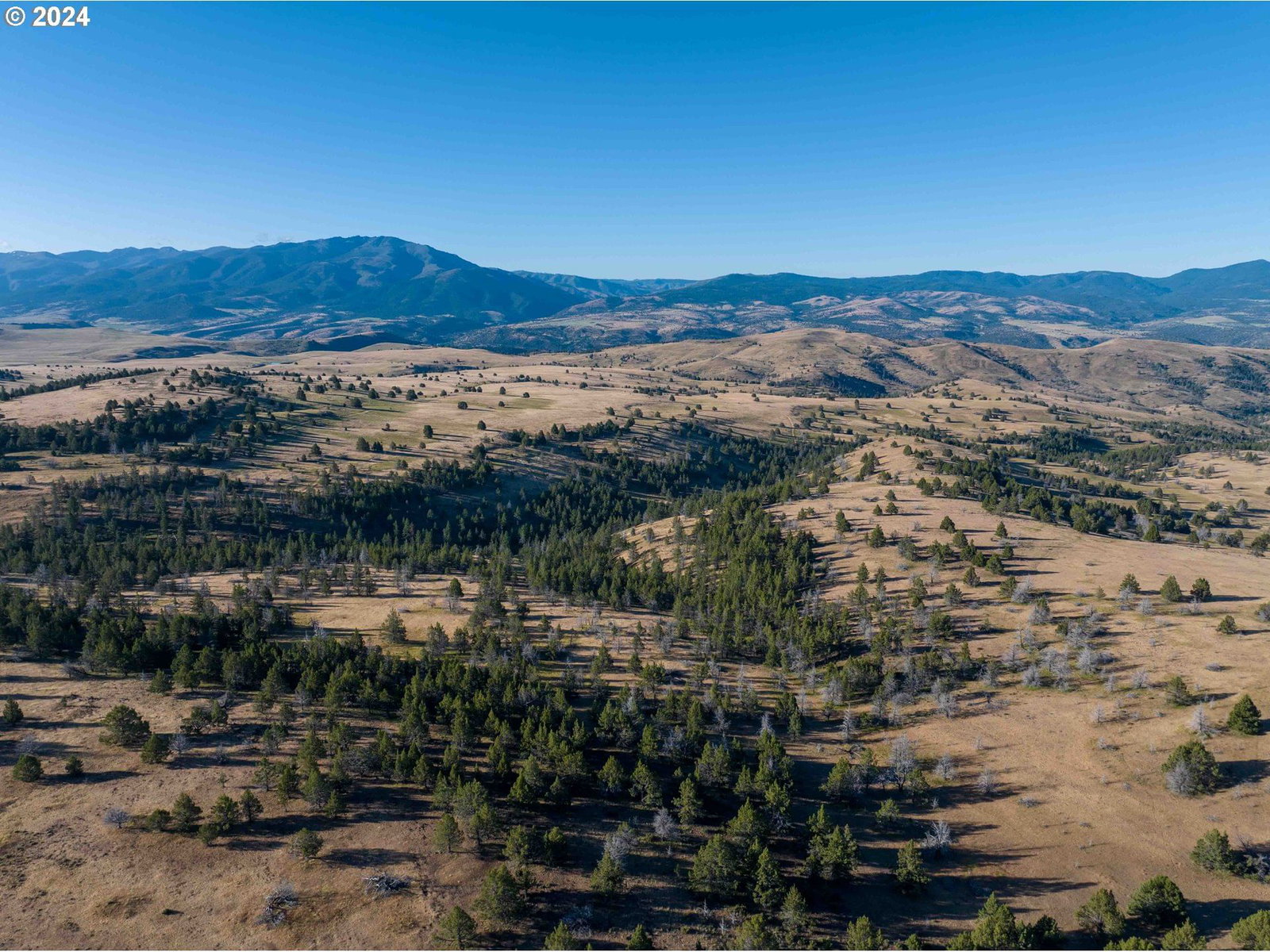 Primary listing photo, 0 Davis Creek RD, John Day, OR, 97845