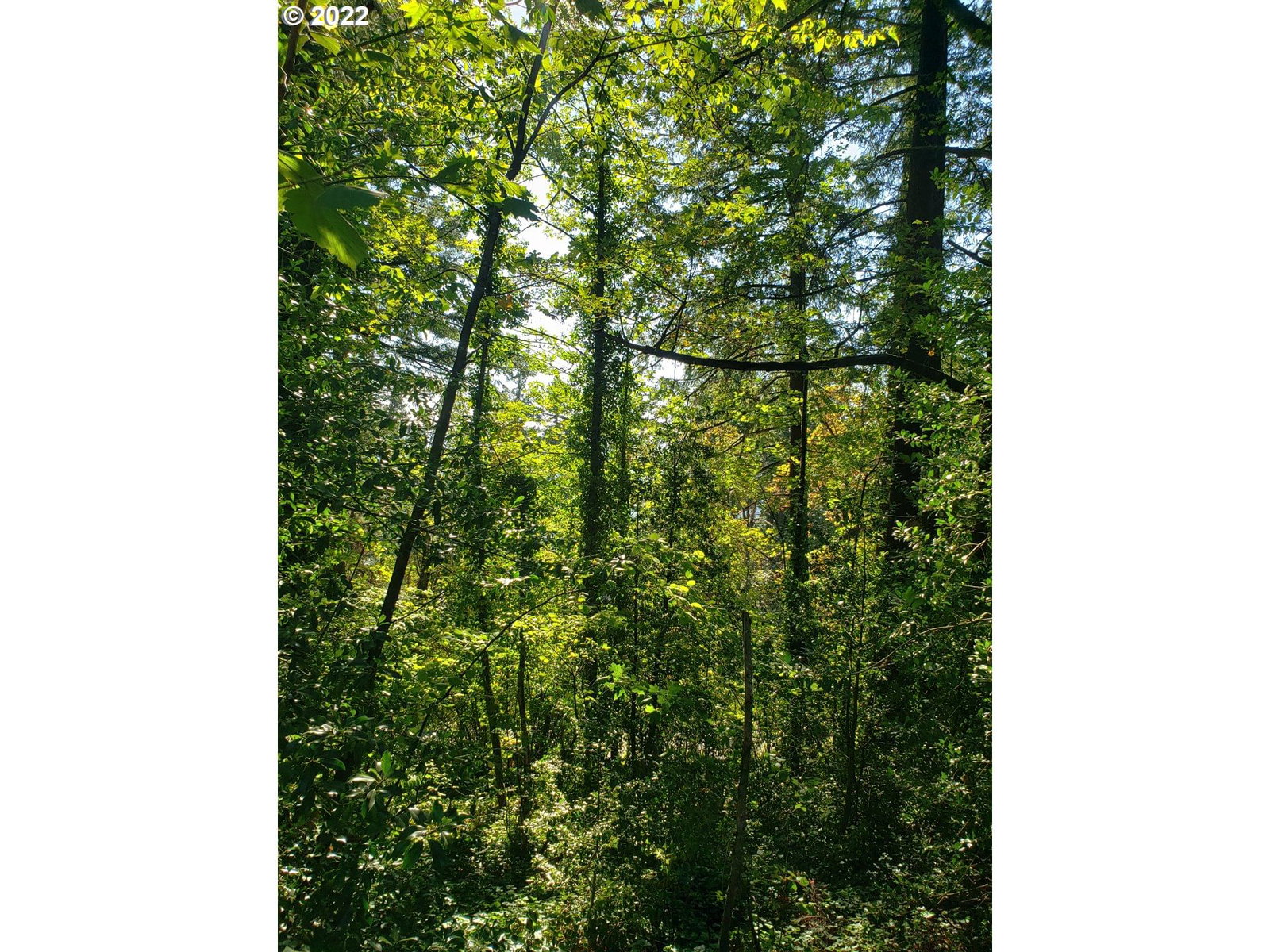 Primary listing photo, SW Hewett BLVD, Portland, OR, 97221