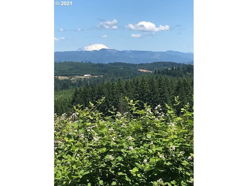 Primary listing photo, 00 Cater (East) RD, Warren, OR, 97053