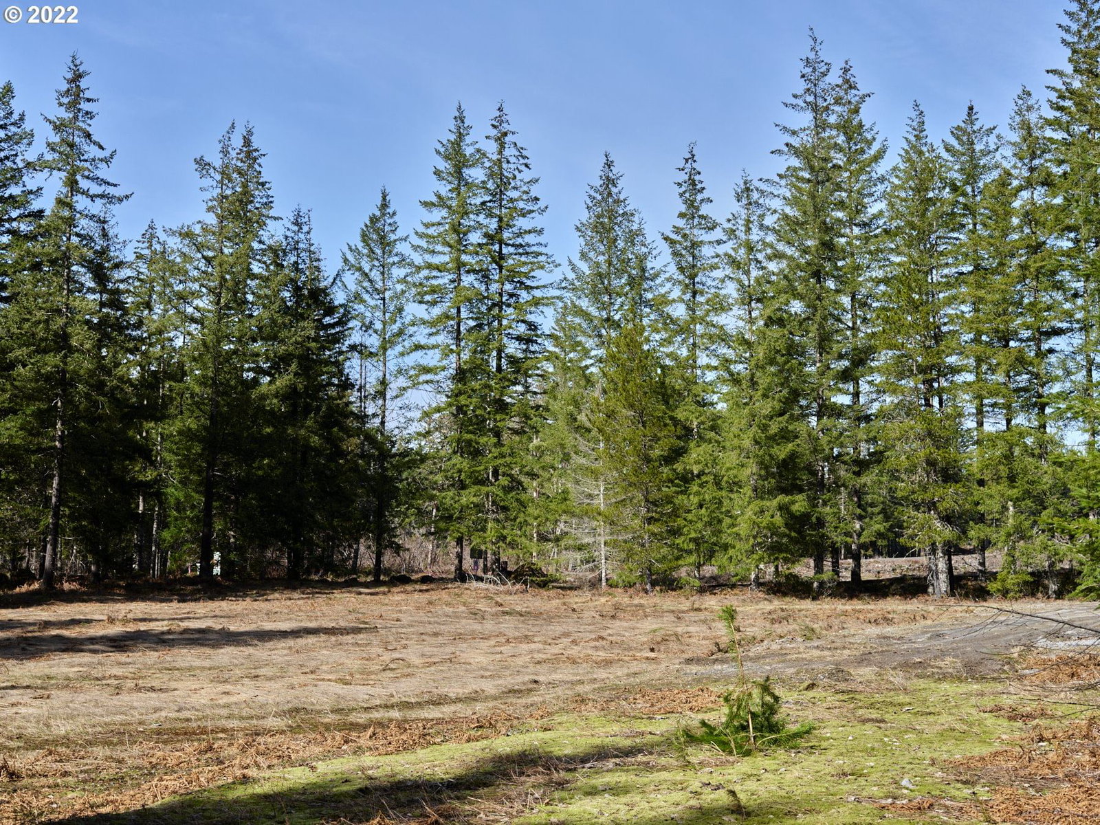 Primary listing photo, 6 Loowit LN, Cougar, WA, 98616