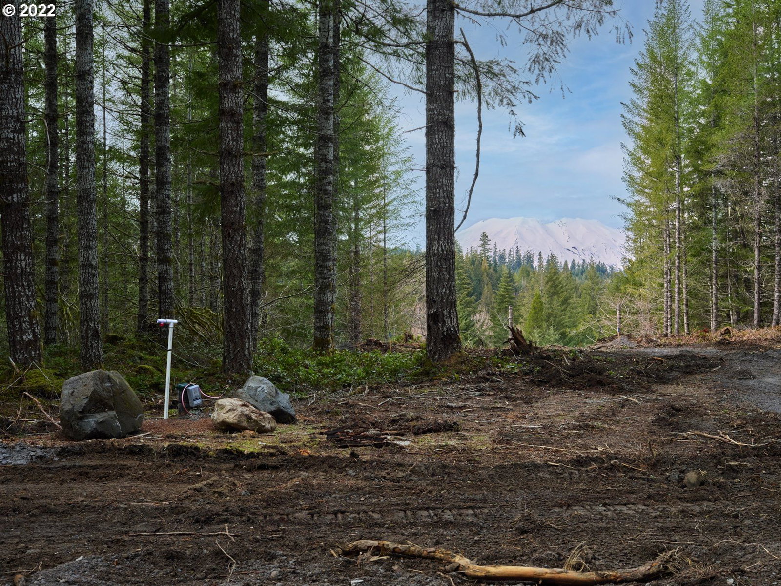 Primary listing photo, Lahar LN #1A, Cougar, WA, 98616