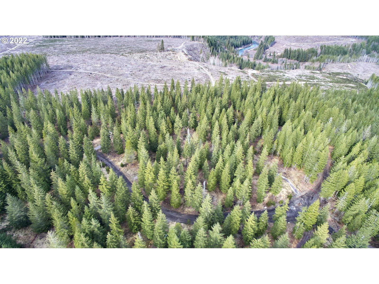 Primary listing photo, 4 Loowit LN, Cougar, WA, 98616