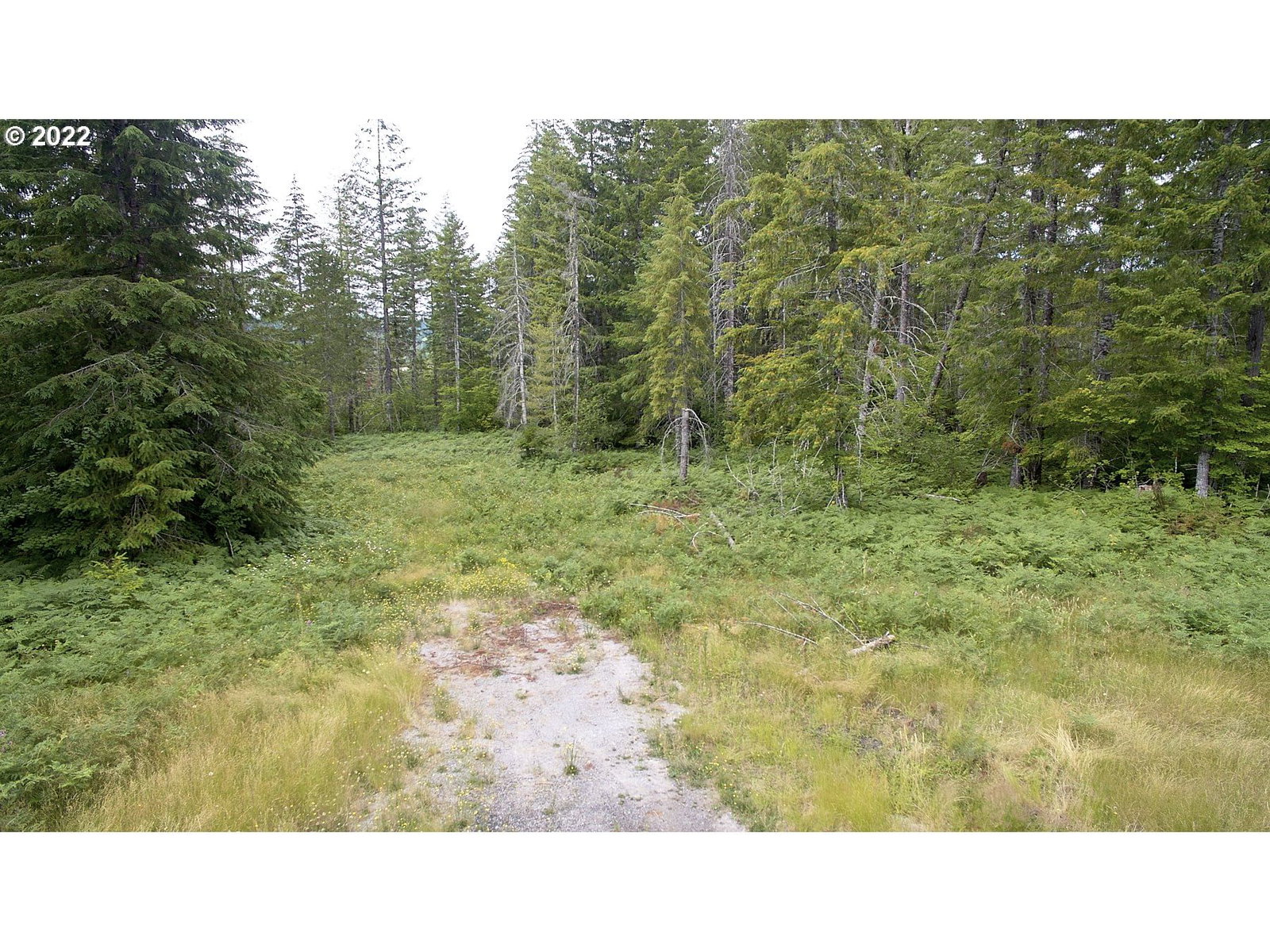 Primary listing photo, 1 Lahar LN, Cougar, WA, 98616