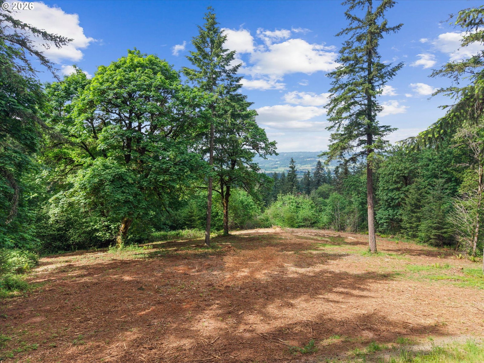 Primary listing photo, 18755 NE BUENA VISTA DR, Dundee, OR, 97115