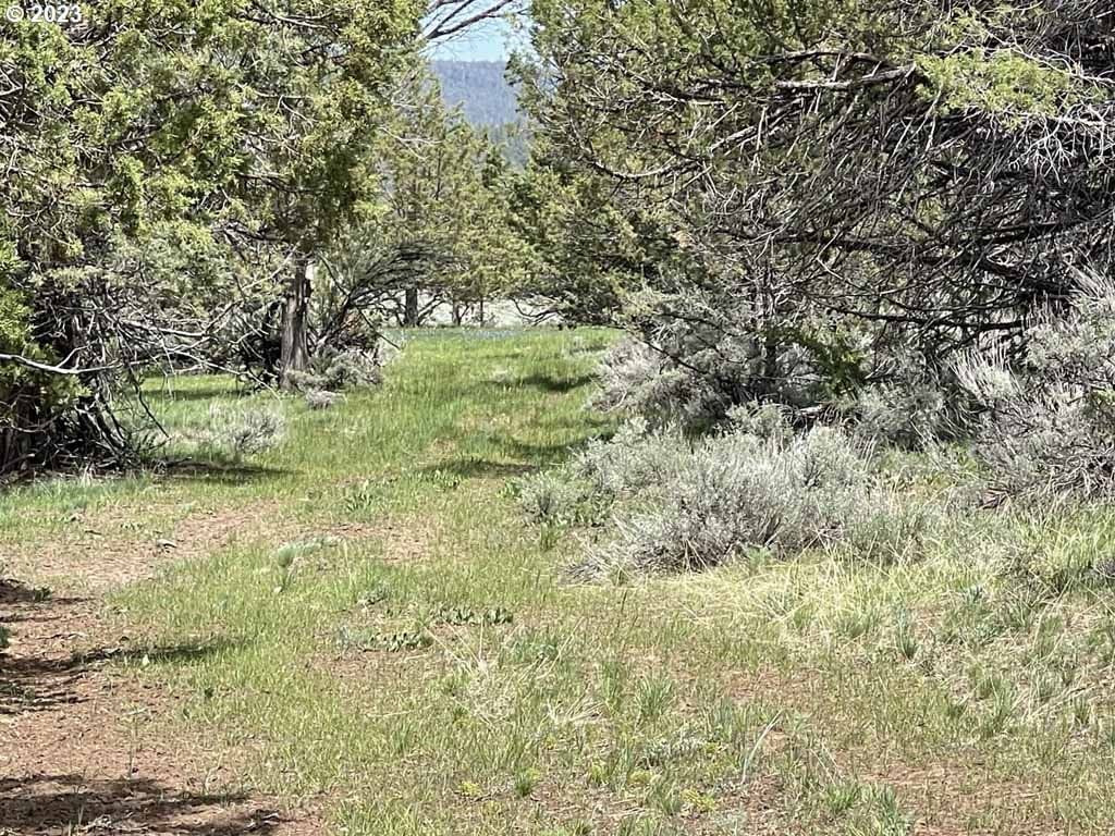 Primary listing photo, 8500 NF 379, Bly, OR, 97622