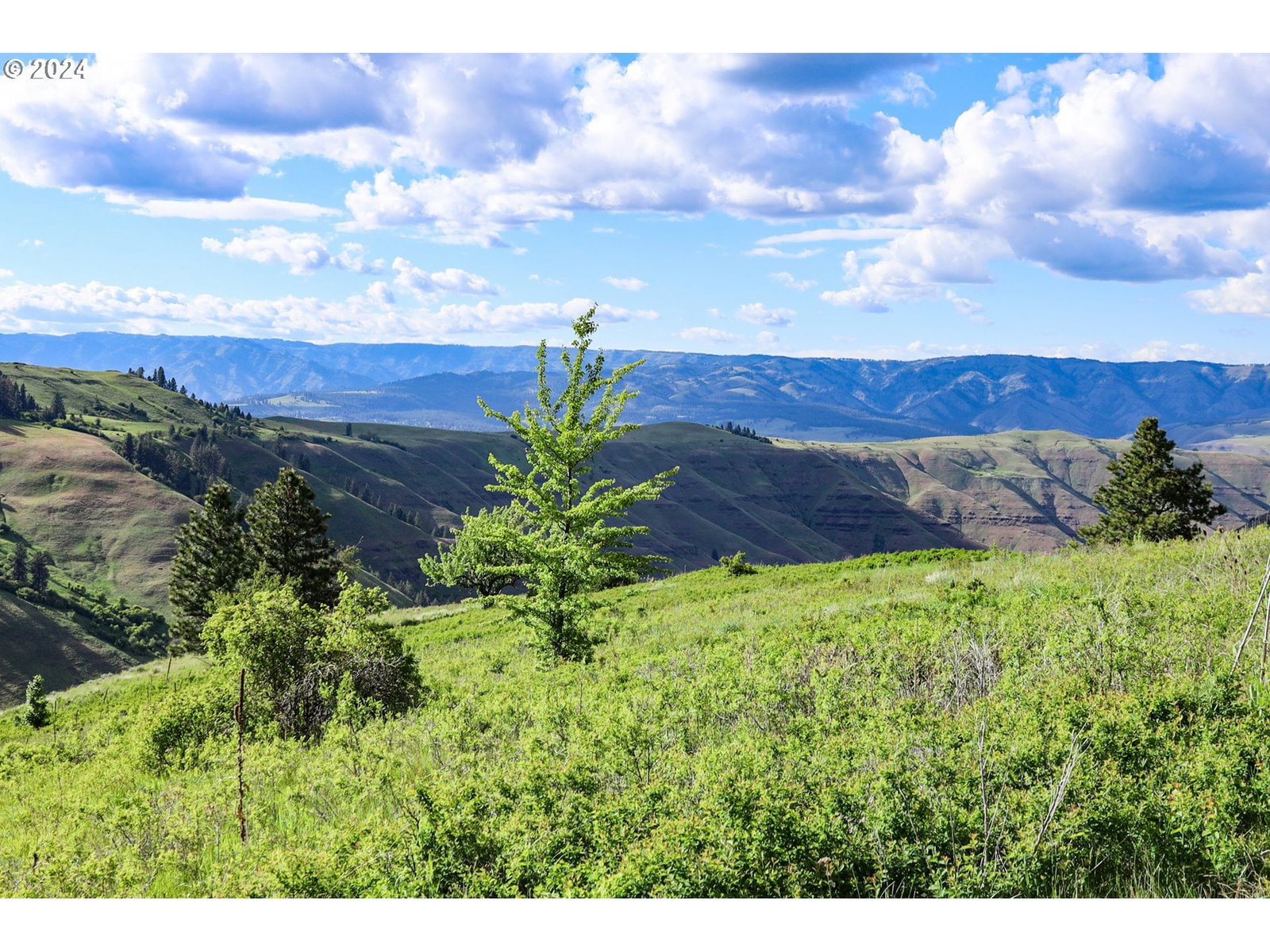 Primary listing photo, Highway 3, Enterprise, OR, 97828