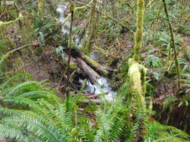 Primary listing photo, Reid RD, Scappoose, OR, 97056