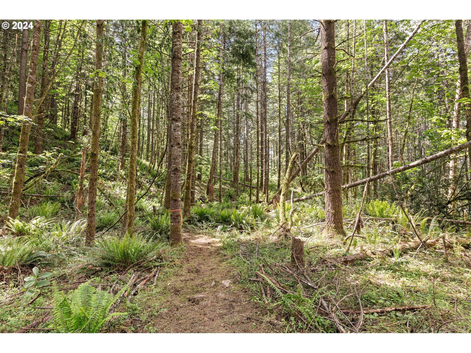 Primary listing photo, 0 Tonga Lane, Springfield, OR, 97478