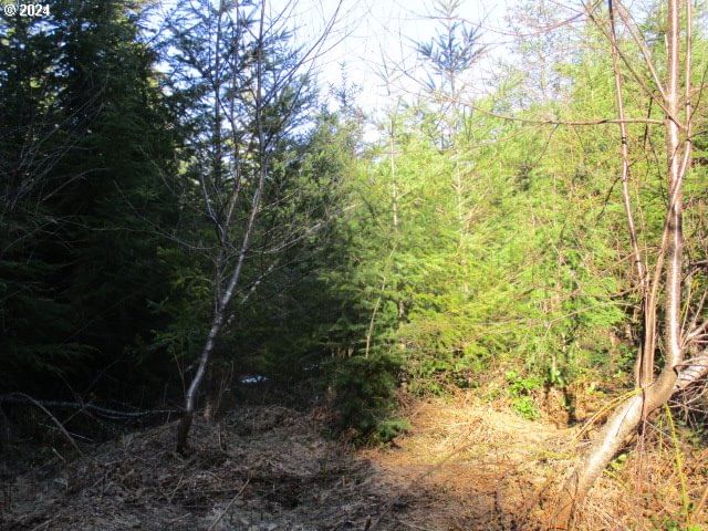 Primary listing photo, 0 SE Harvey RD, Estacada, OR, 97023