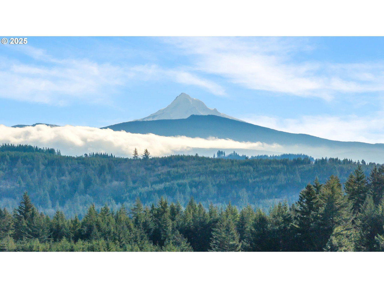 Primary listing photo, NE 48th WAY #Lot A, Camas, WA, 98607