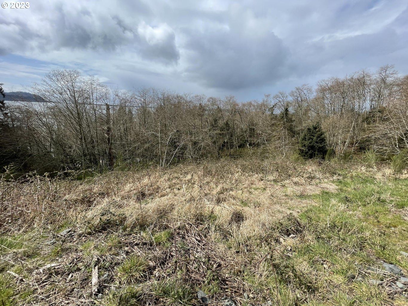 Primary listing photo, Lot 20 North Ridge DR, Bay City, OR, 97107