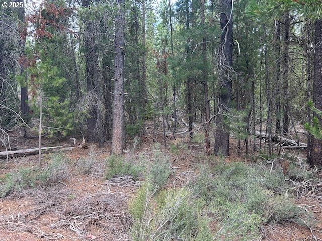 Primary listing photo, 400 Hwy 58, Crescent Lake, OR, 97733