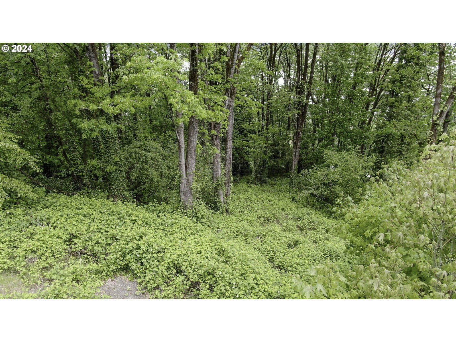 Primary listing photo, 3481 NW THURMAN ST, Portland, OR, 97210