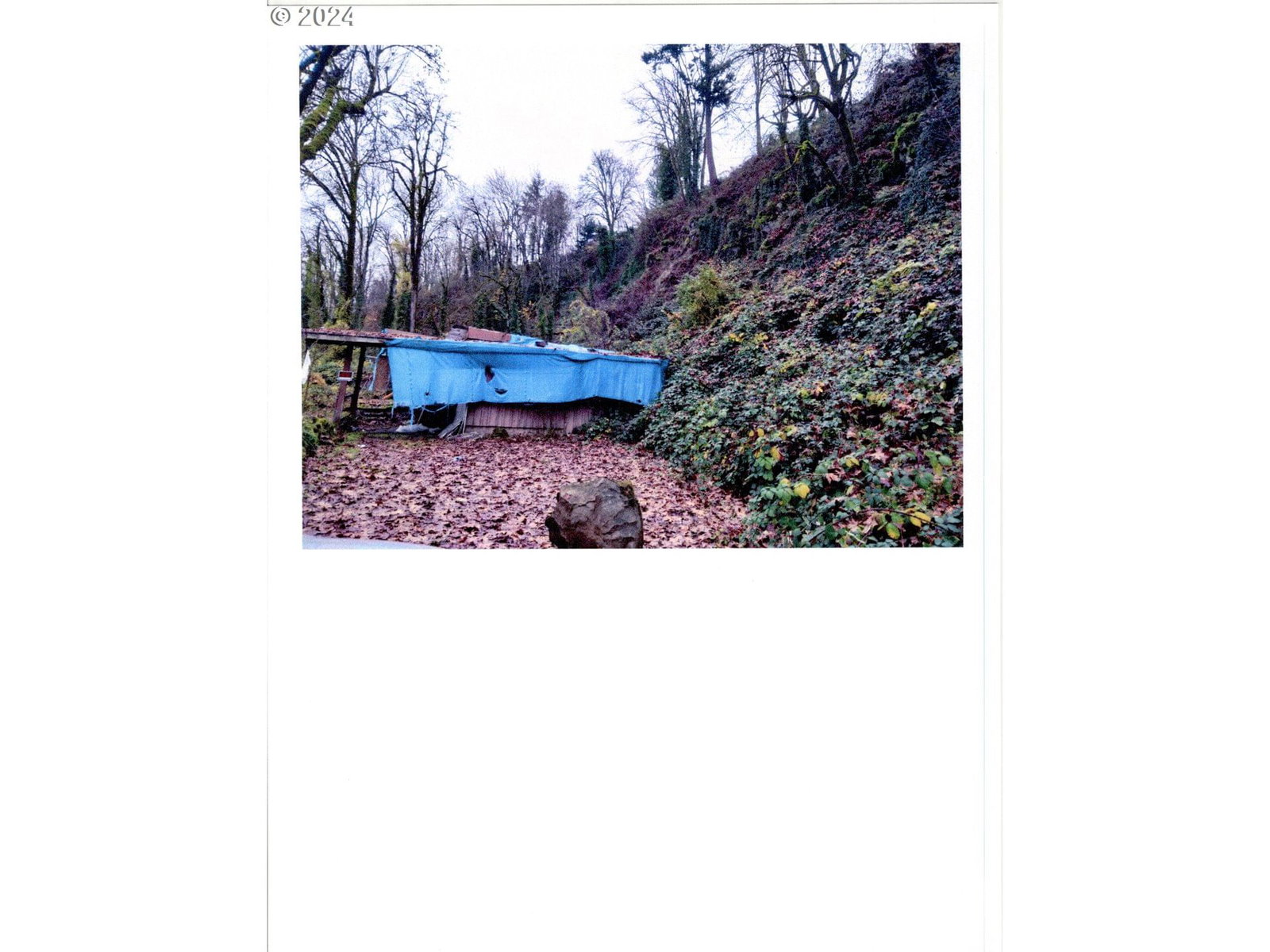 Listing photo 1 of 1