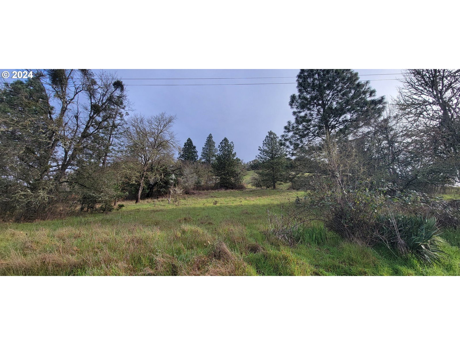 Primary listing photo, SE ARDIS AVE #7, Myrtle Creek, OR, 97457