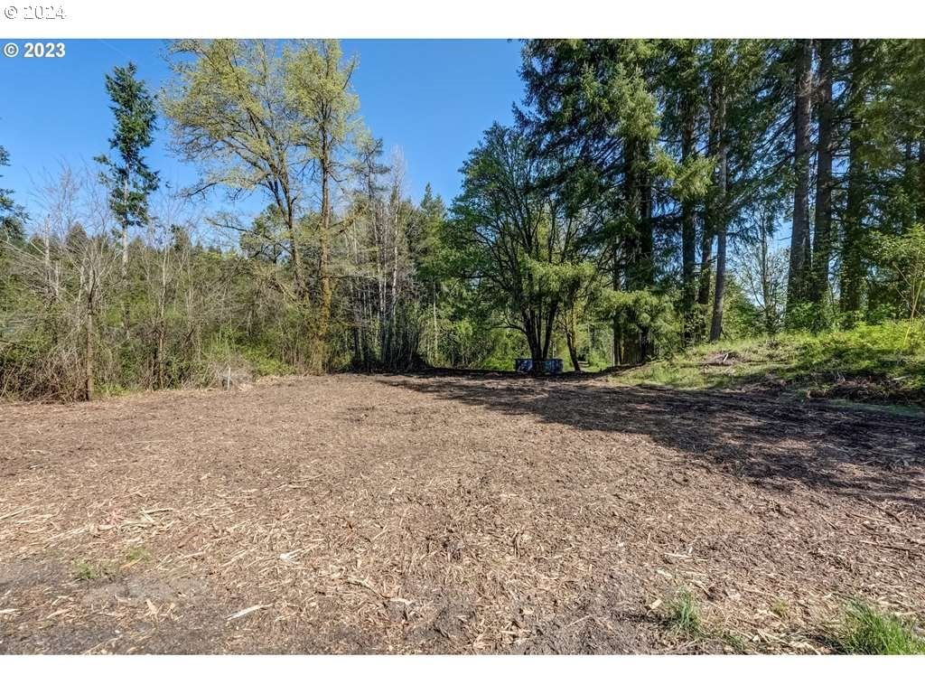 Primary listing photo, 62411 NEHALEM HWY N, Vernonia, OR, 97064