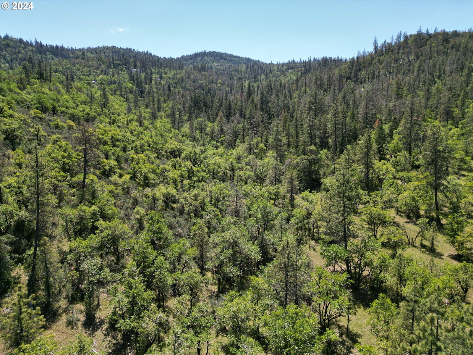 Listing photo 1 of 1