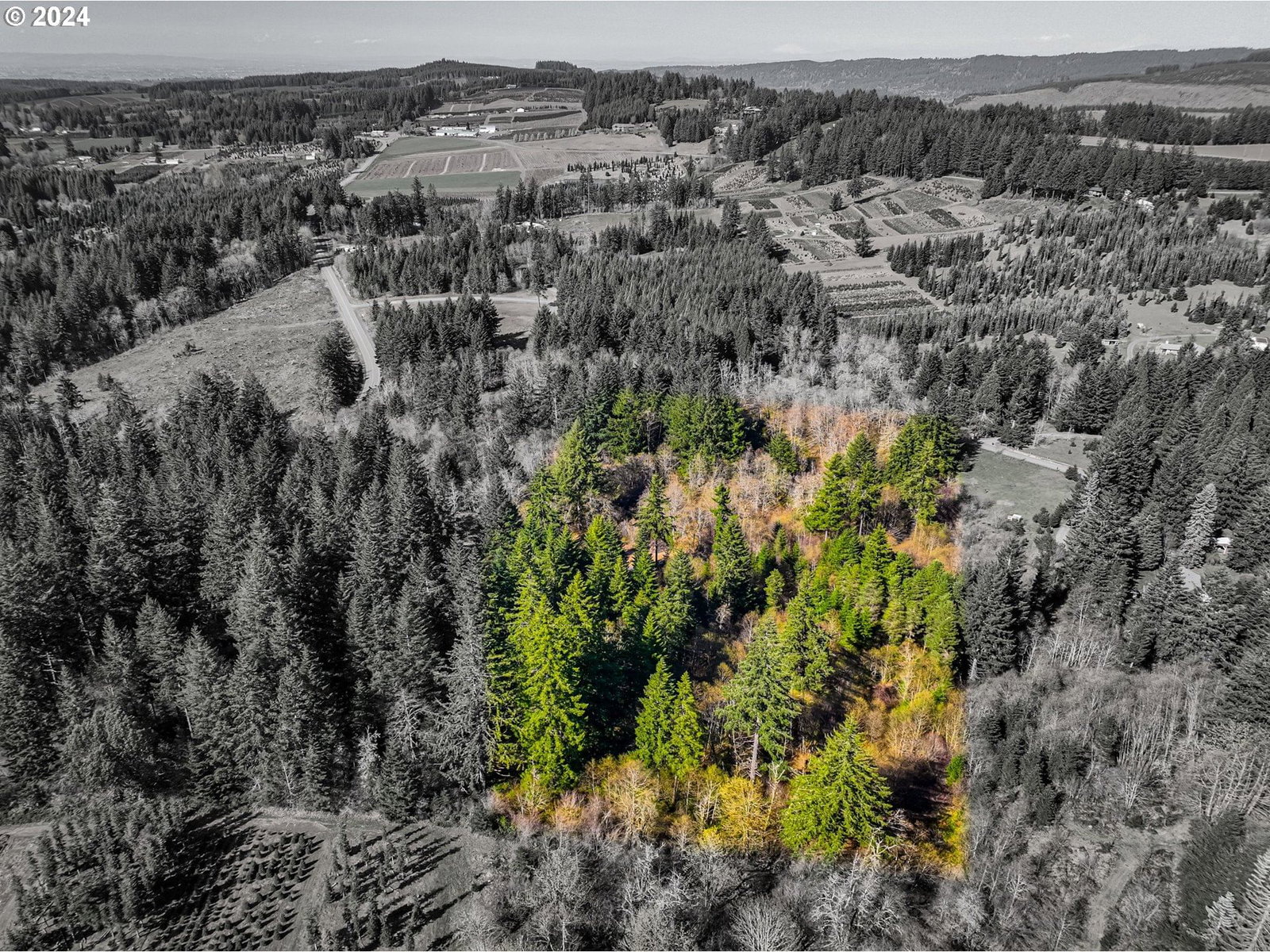 Primary listing photo, 19890 Sharon Tony WAY SE, Silverton, OR, 97381