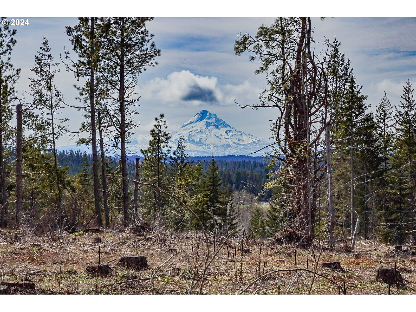 Listing photo 1 of 1