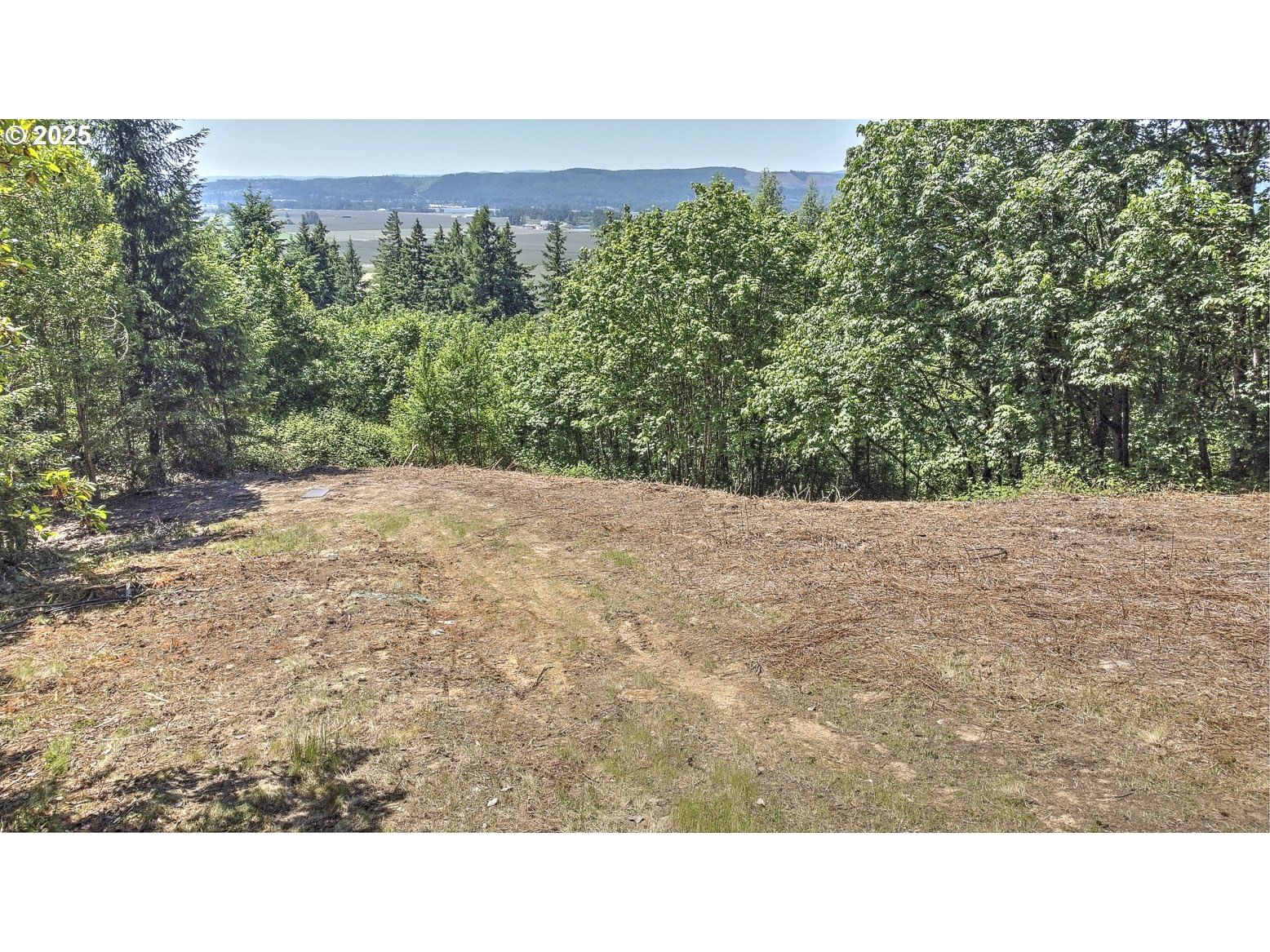 Primary listing photo, 0 Columbia View DR, Woodland, WA, 98674
