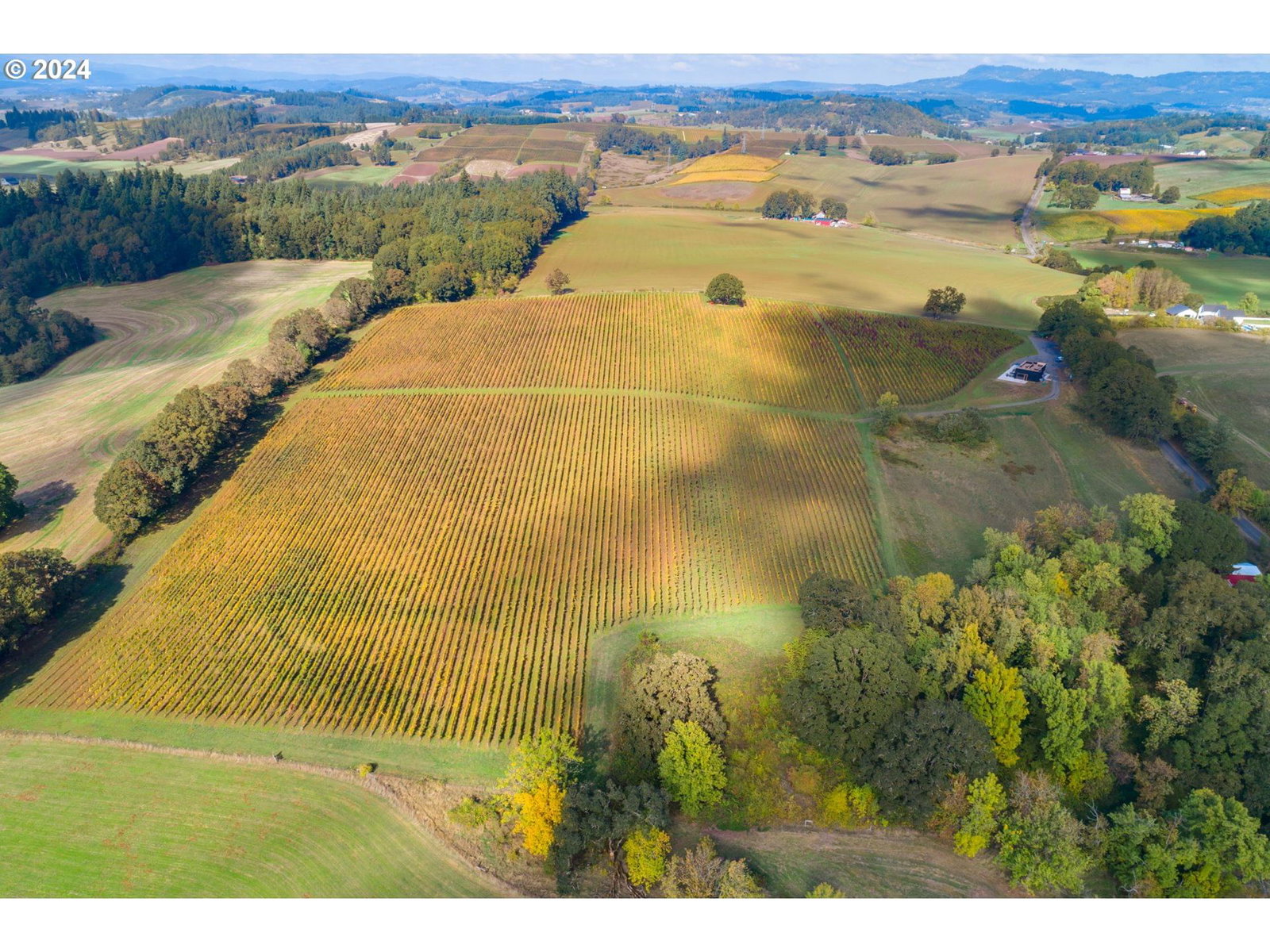 Primary listing photo, 8085 NE OAK SPRINGS FARM RD, Carlton, OR, 97111