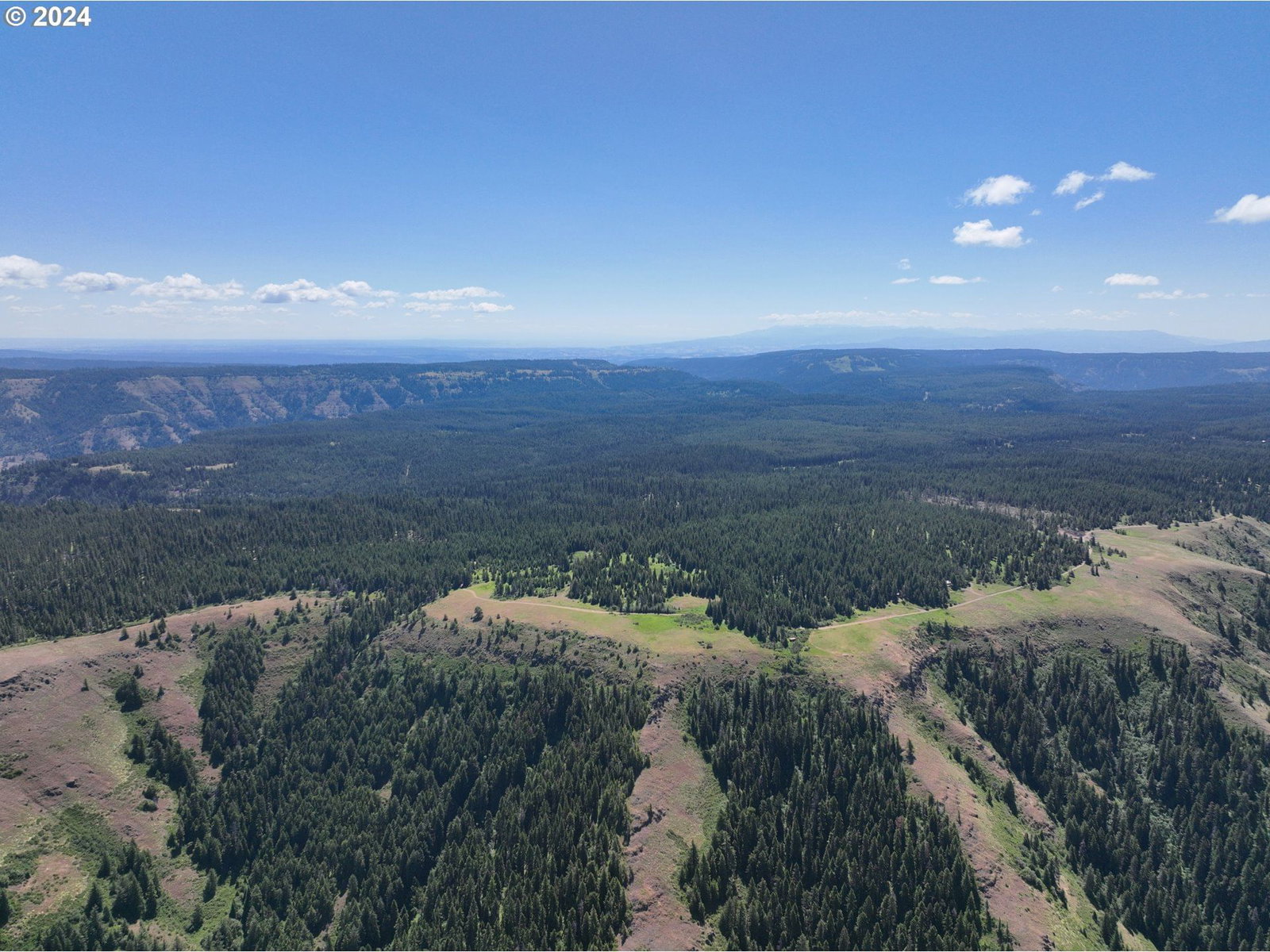 Primary listing photo, 0 Vacant Land, Weston, OR, 97886