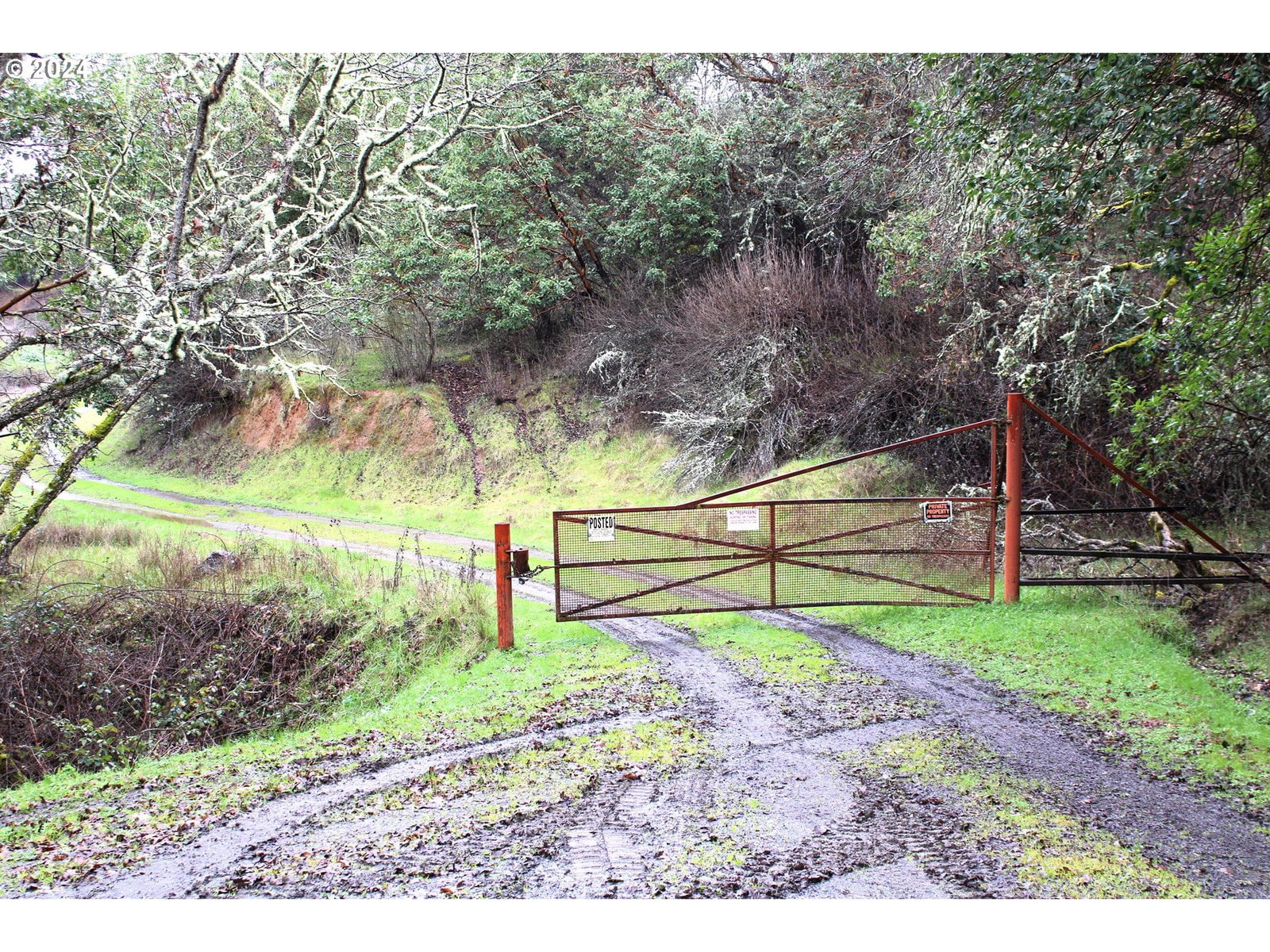 Primary listing photo, 0 HORIZON LN, Myrtle Creek, OR, 97457