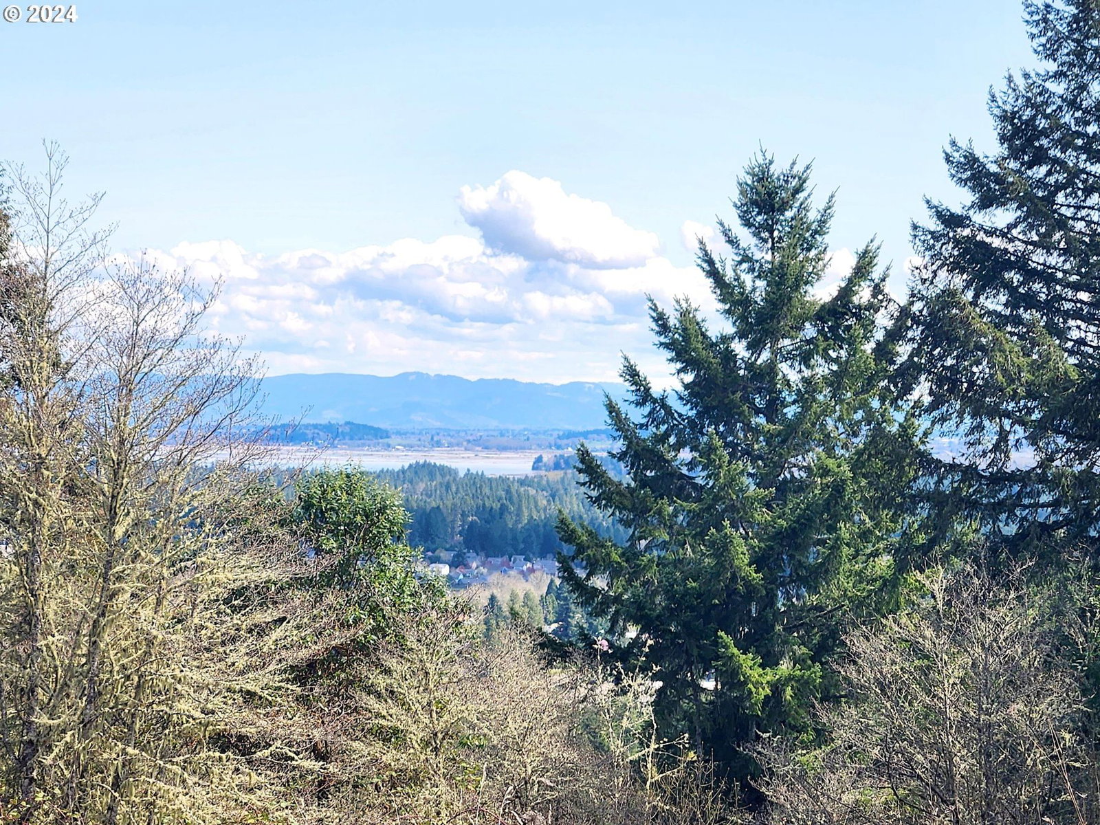 Primary listing photo, Bolton Hill, Veneta, OR, 97487