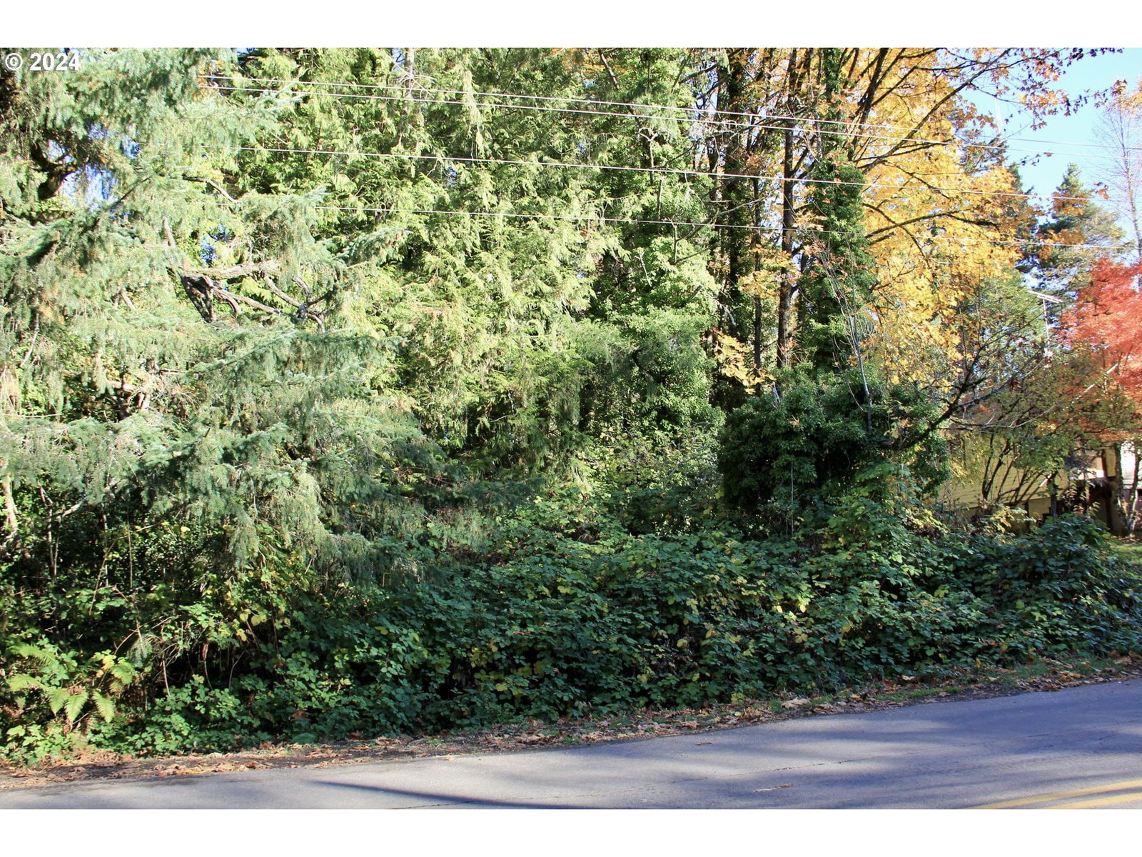 Primary listing photo, 41081 SE Vista Loop DR, Sandy, OR, 97055
